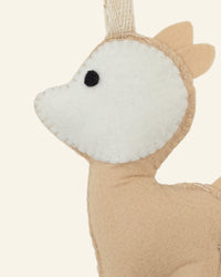 Baby Deer