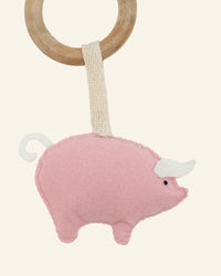 Pig